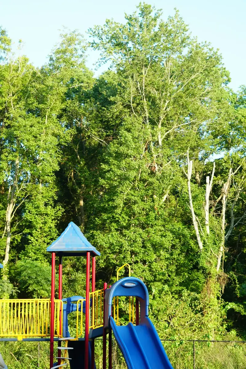 Playground slide